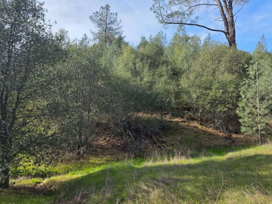 22176 E Elk Trail, Redding, CA 96003 - #2