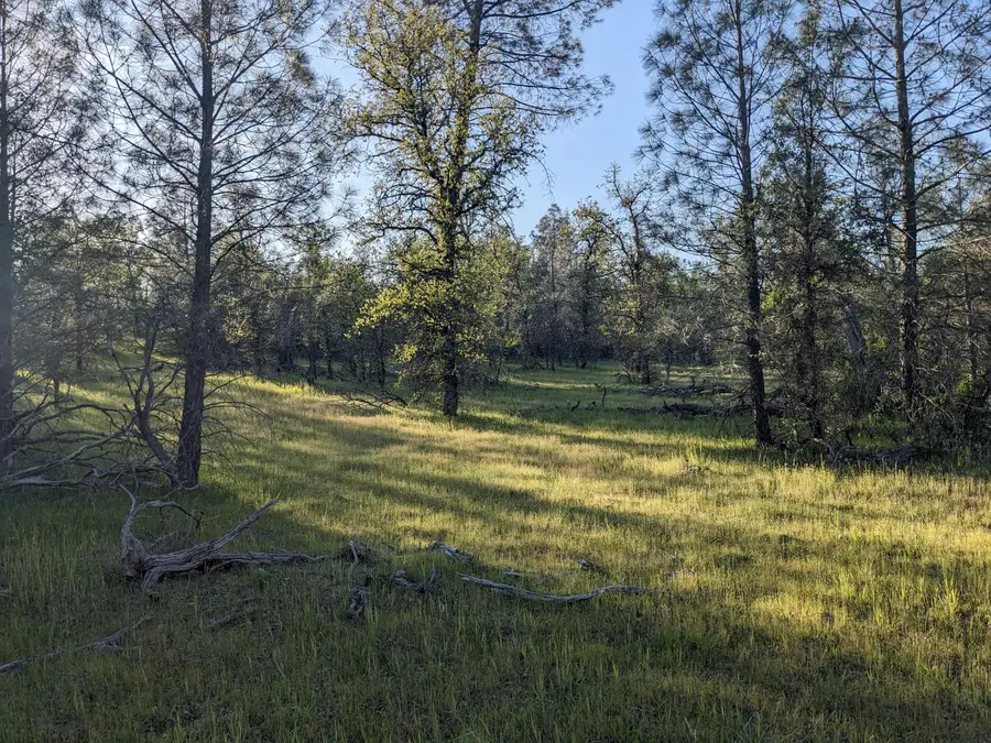 Lot 8 Neal Lane, Redding, CA 96003 - #2