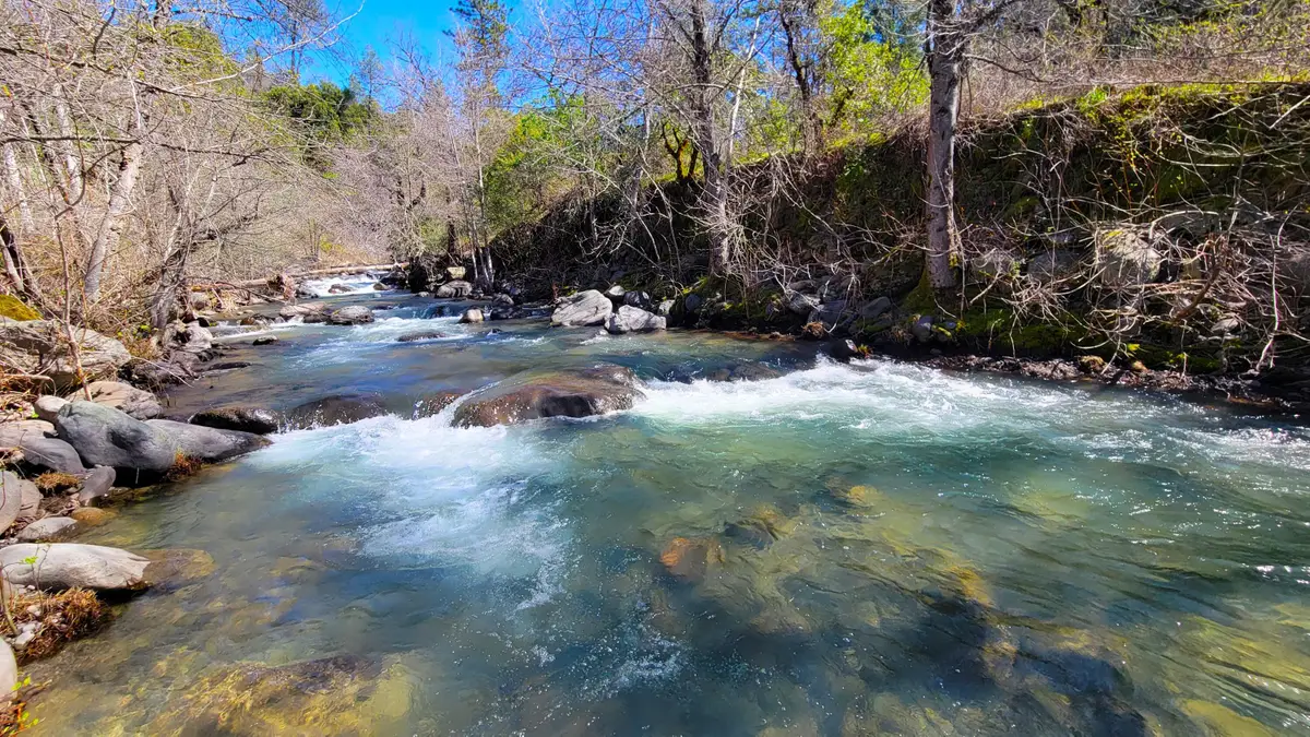 000 Jacey's Tract Road, Oak Run, CA 96069 - #1