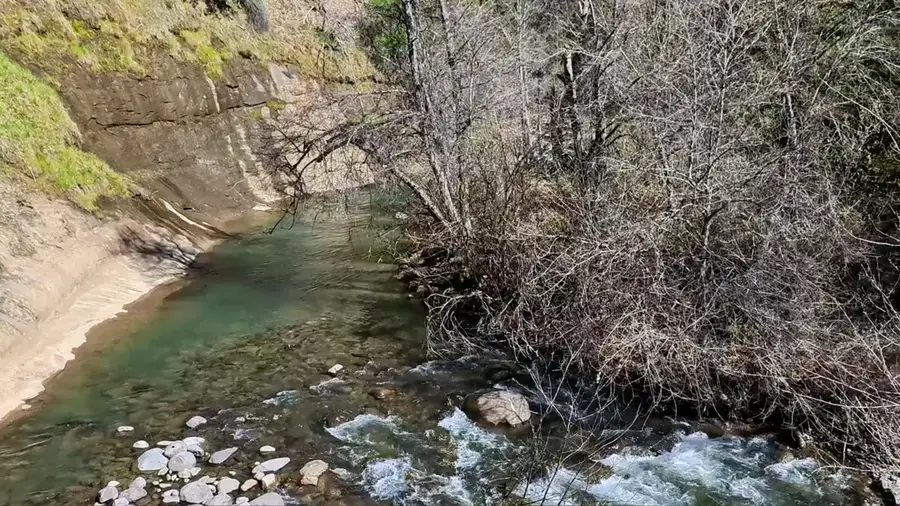 000 Jacey's Tract Road, Oak Run, CA 96069 - #2