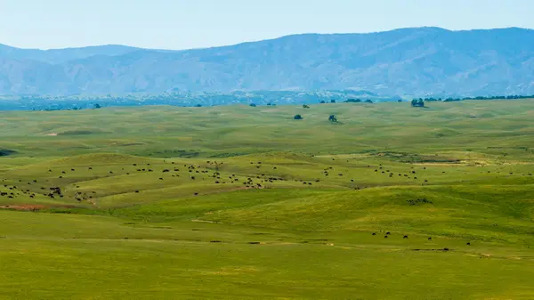 Rancho Tehama Road, Red Bluff, CA 96021