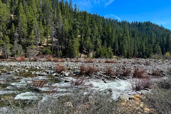 79402 California Hwy 3, Trinity Center, CA 96091