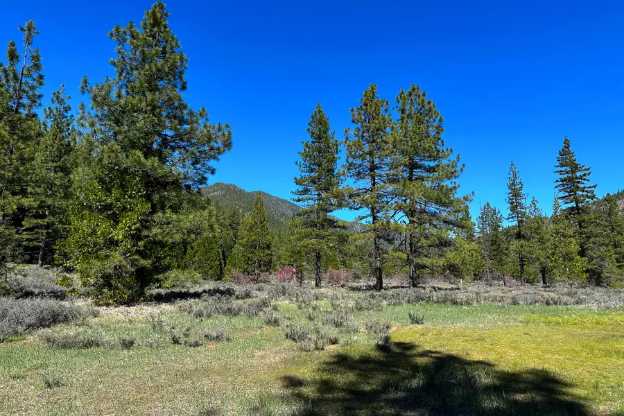 79402 California Hwy 3, Trinity Center, CA 96091 - #2