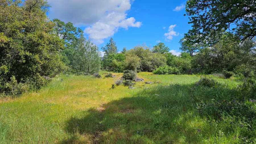 LOT B South Power House Road, Manton, CA 96059 - #3