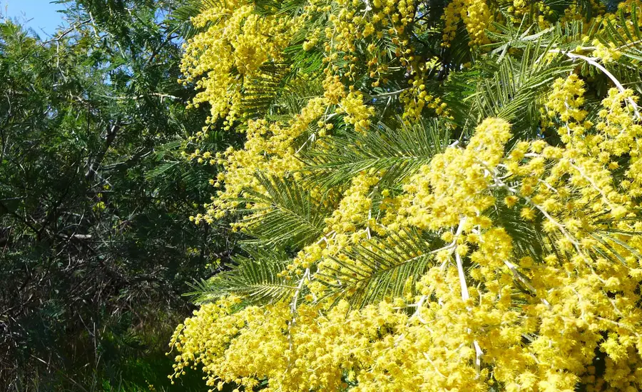 17435 Lassen Avenue, Anderson, CA 96007 - #2