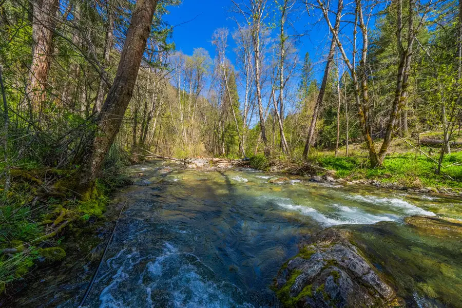 8916 Reading Creek Road, Douglas City, CA 96024 - #2