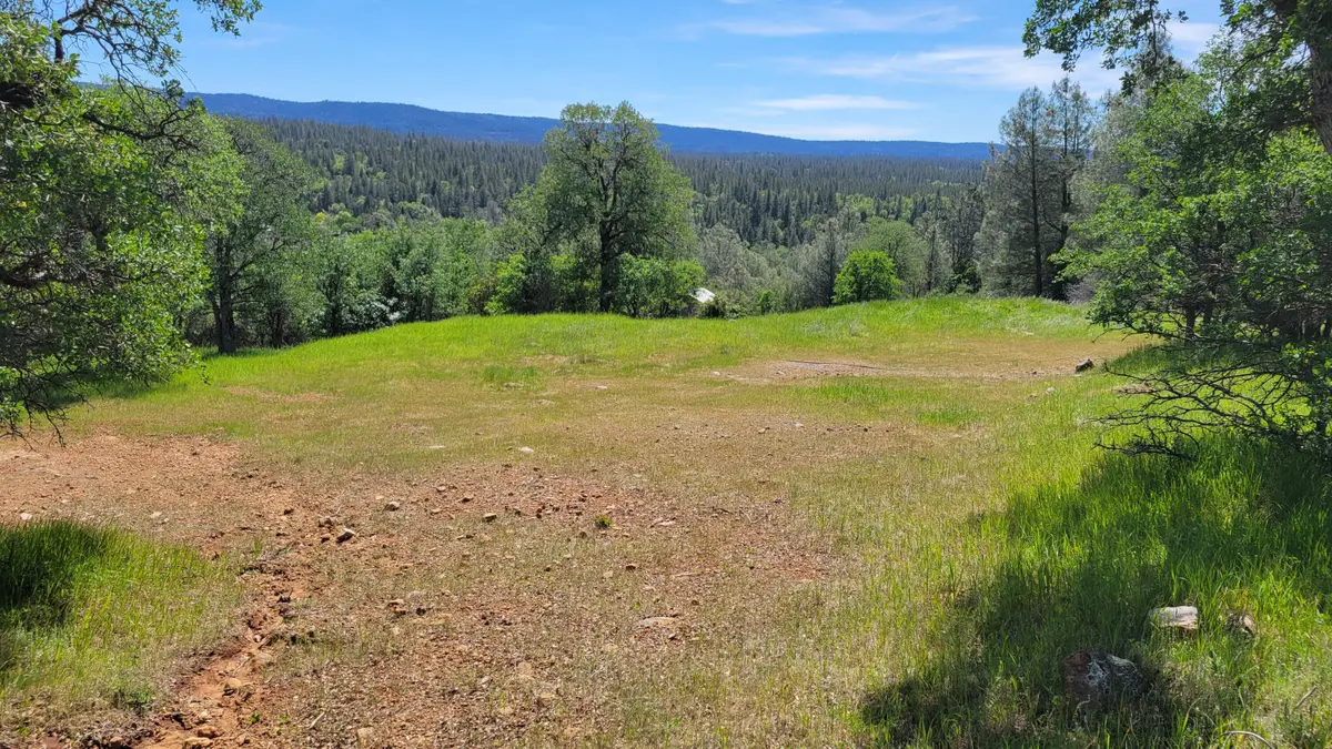 000 Off Miller Mountain Road, Whitmore, CA 96096 - #1
