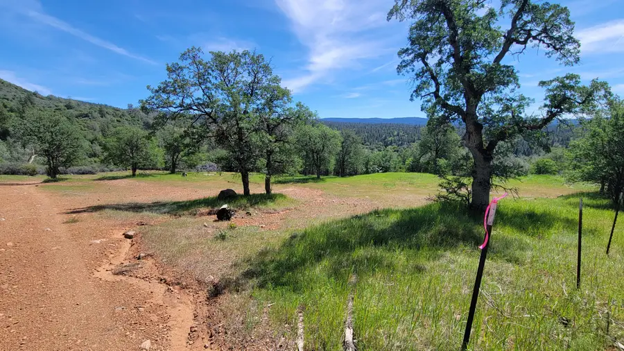 000 Off Miller Mountain Road, Whitmore, CA 96096 - #3