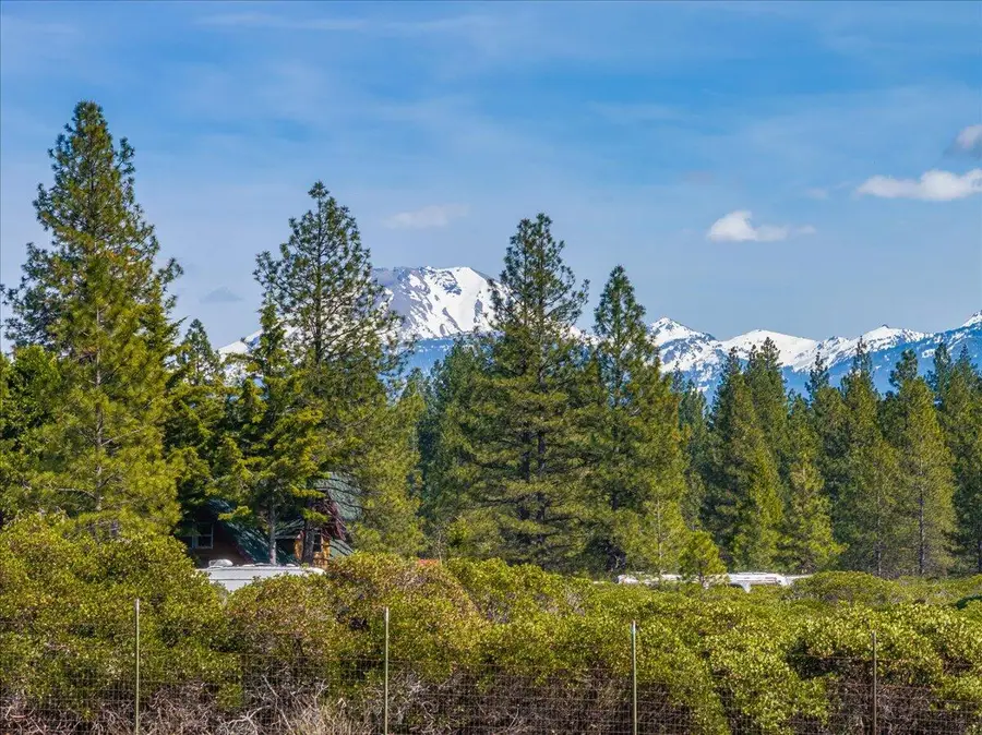 32677 Emigrant Trail, Shingletown, CA 96088 - #2
