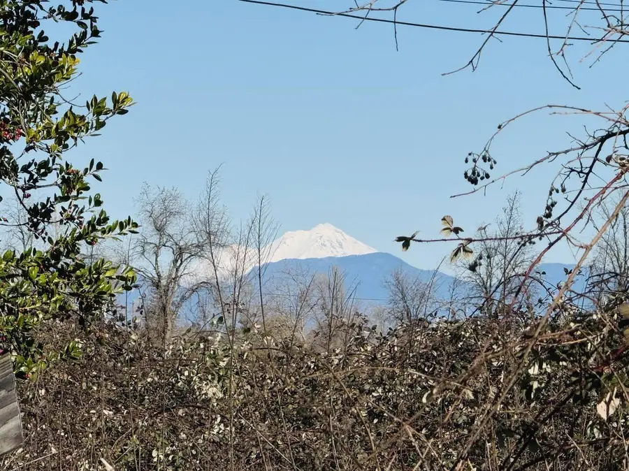 22148 Lone Tree Road, Anderson, CA 96007 - Image #3