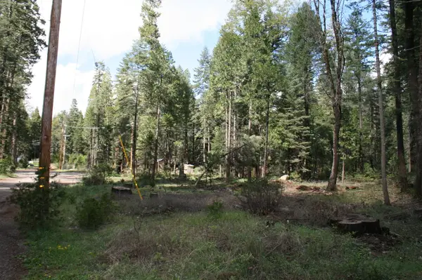 Lot 22 Eastwood Way, Shingletown, CA 96088