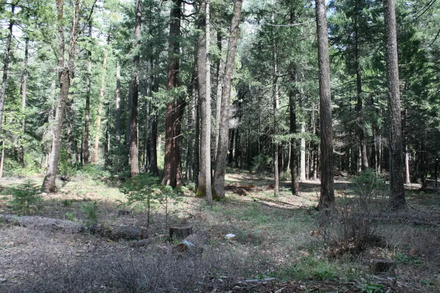 Lot 22 Eastwood Way, Shingletown, CA 96088 - #2