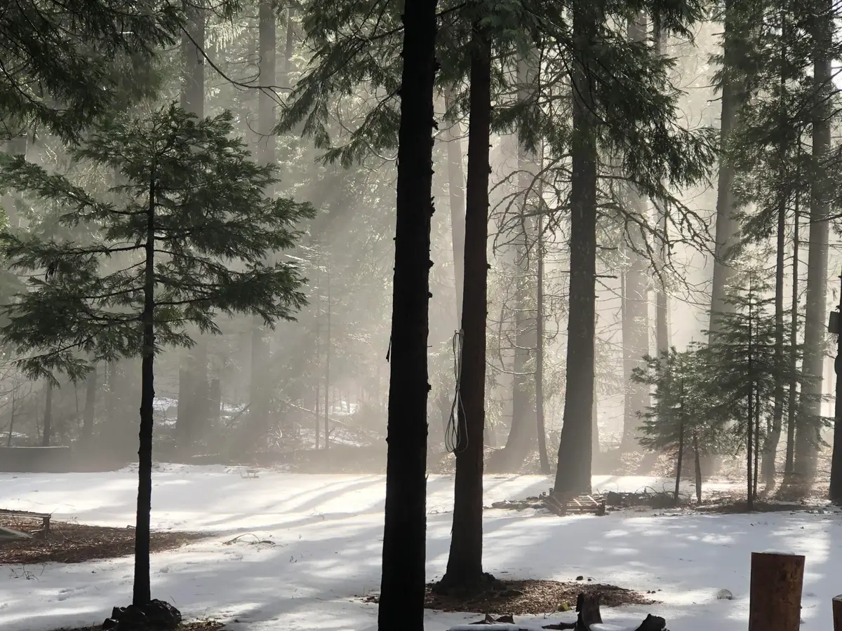 Side Bottom Road, Shingletown, CA 96088 - #1