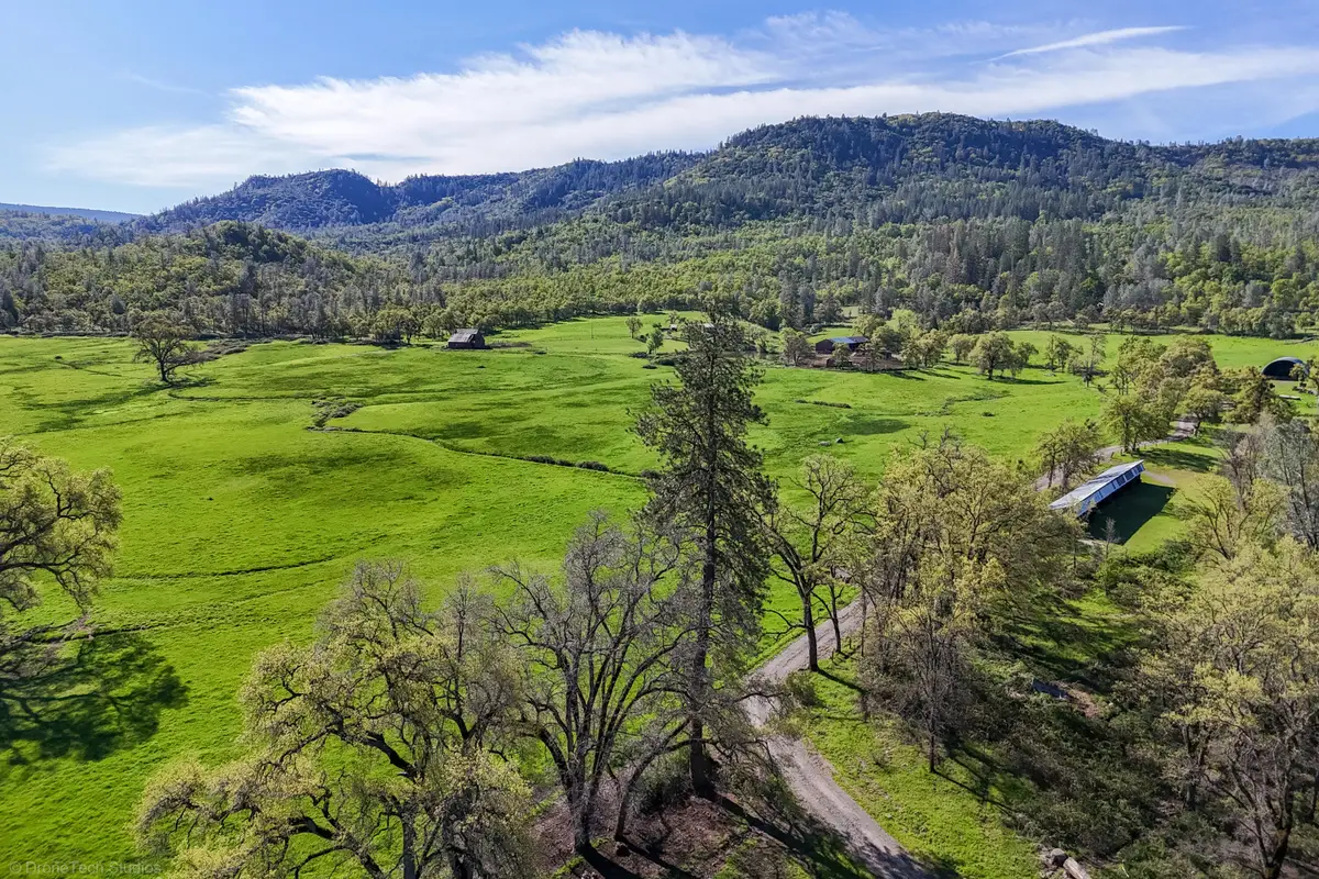 9568 Blue Mountain Ranch Road, Whitmore, CA 96096 - #1