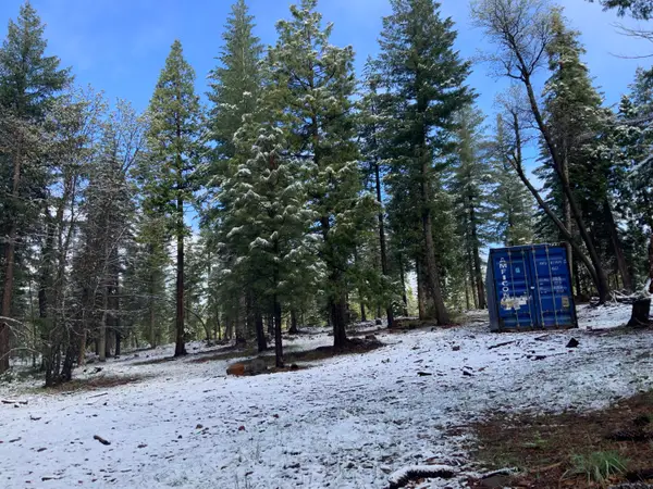 0 Mccumber Lake Road, Shingletown, CA 96088