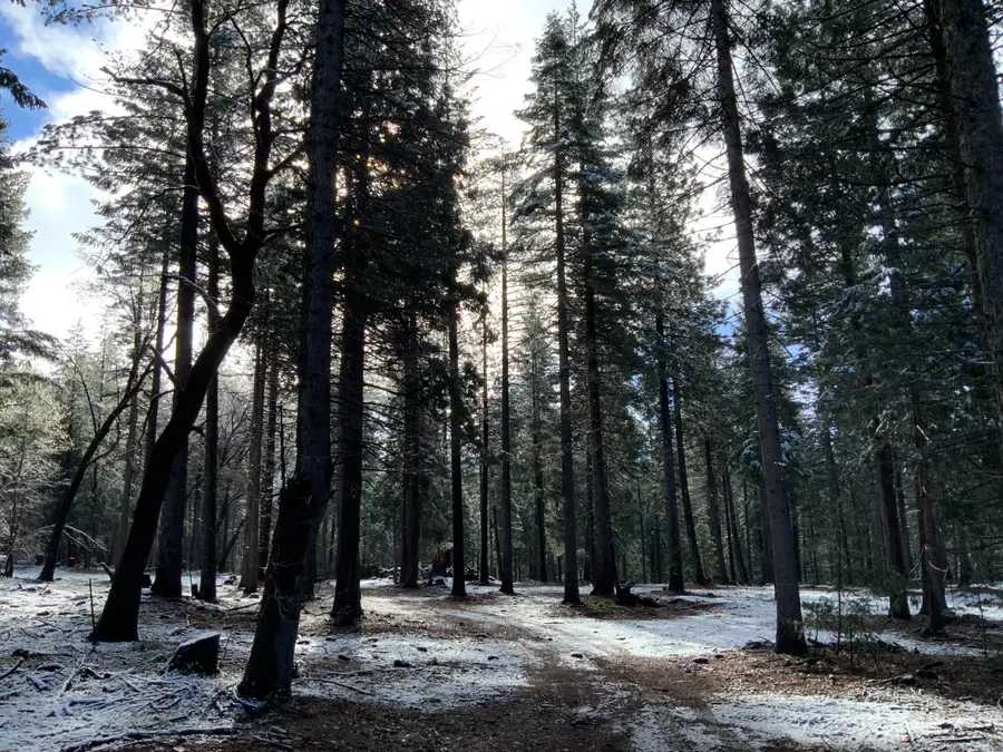 0 Mccumber Lake Road, Shingletown, CA 96088 - #2