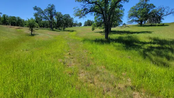 Lot 63 Mccoy Road, Cottonwood, CA 96022