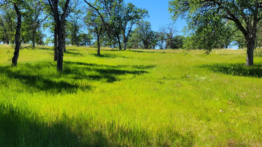Lot 63 Mccoy Road, Cottonwood, CA 96022 - #3