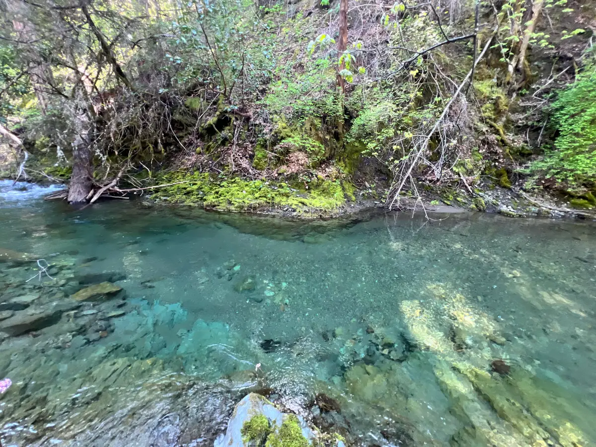 1500, 1551 Reading Creek Road, Douglas City, CA 96024 - #1