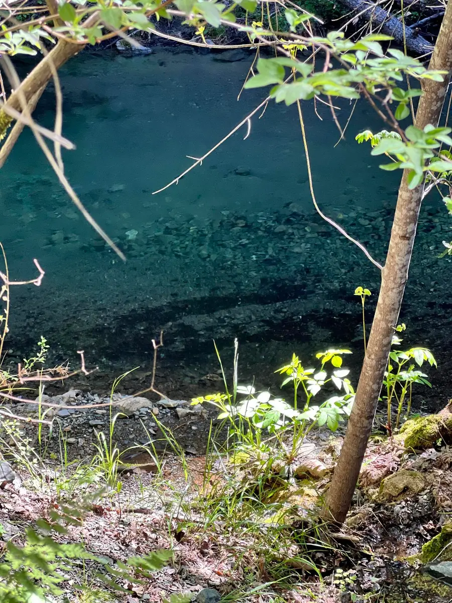 1500, 1551 Reading Creek Road, Douglas City, CA 96024 - #2