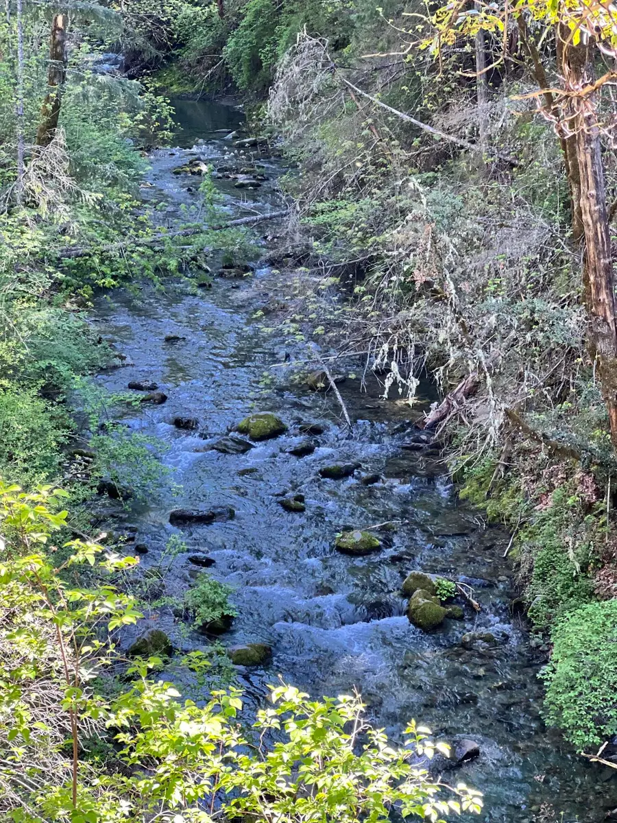 1500, 1551 Reading Creek Road, Douglas City, CA 96024 - #3