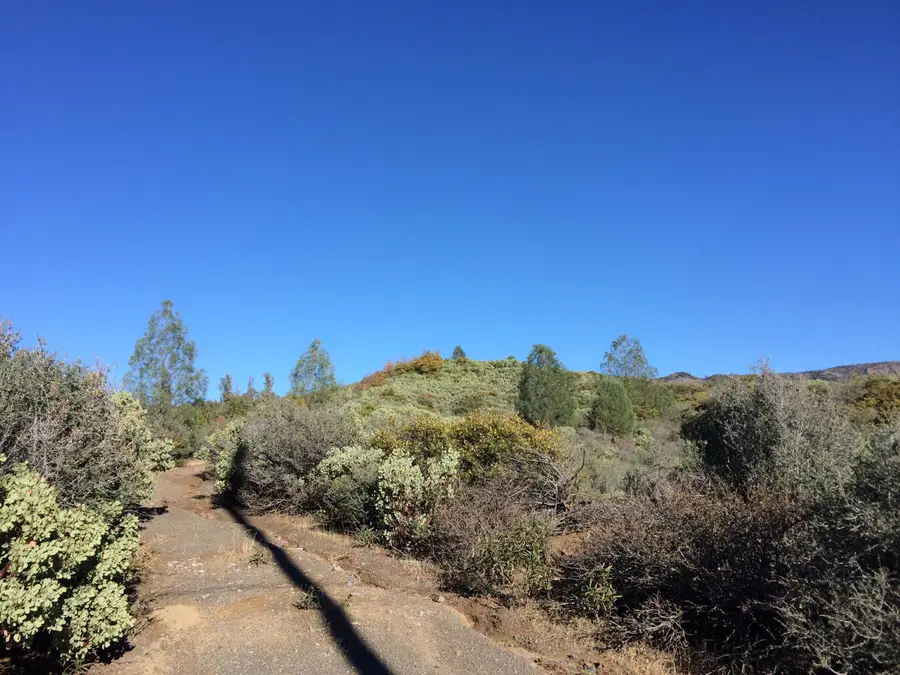 17759 Patterson Ranch Road, Round Mountain, CA 96084 - Image #3
