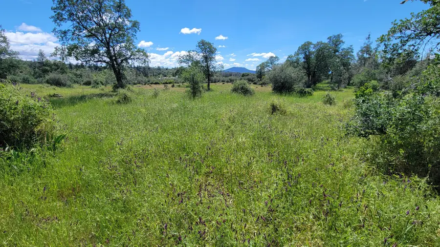 000 Ole Avenue, Manton, CA 96059 - #3