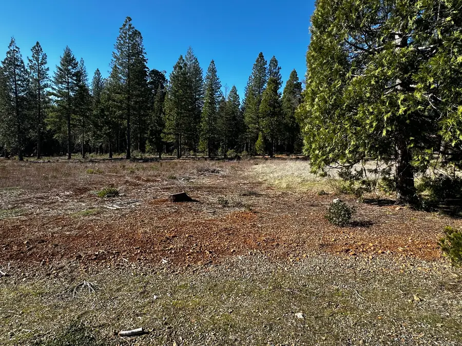 Lot 27 Princess Pine Place, Shingletown, CA 96088 - Image #3