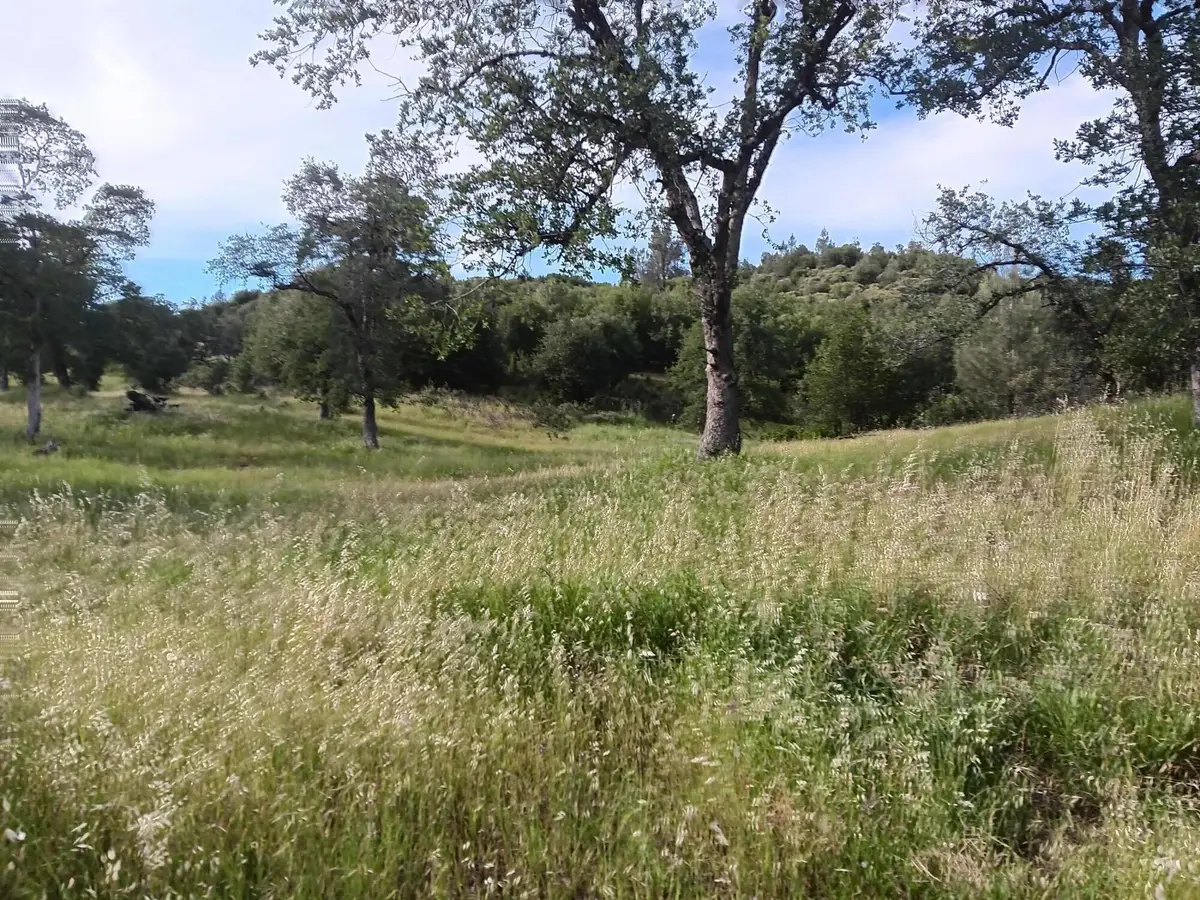 E Elk Trail, Redding, CA 96003 - #1