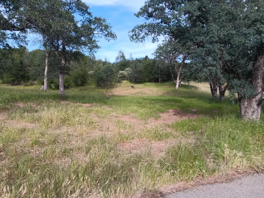 E Elk Trail, Redding, CA 96003 - #2