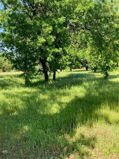 2010 Frontier Trail, Anderson, CA 96007 - #3