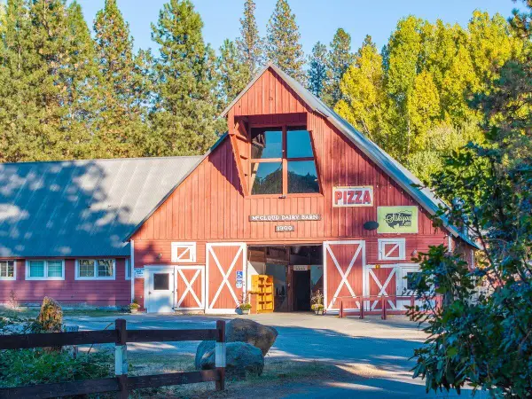 110 Squaw Valley Road, McCloud, CA 96057