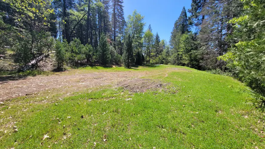 21492 Cove Road, Montgomery Creek, CA 96065 - #2