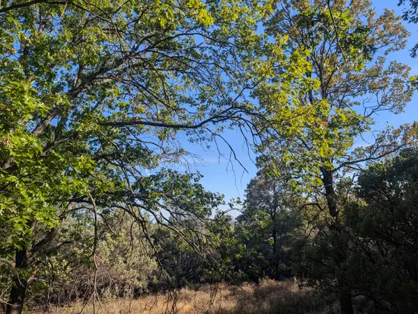 000 Rocky Top Road, Bella Vista, CA 96008