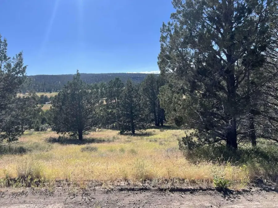 639 Pheasant Drive, Alturas, CA 96101 - #2