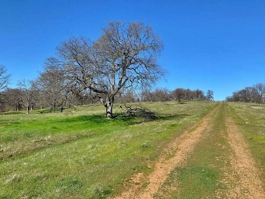 Lot 21 Lawndale Drive, Cottonwood, CA 96022 - Image #1