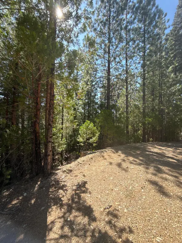 Kangaroo Creek Road, Out of Area, CA 96034