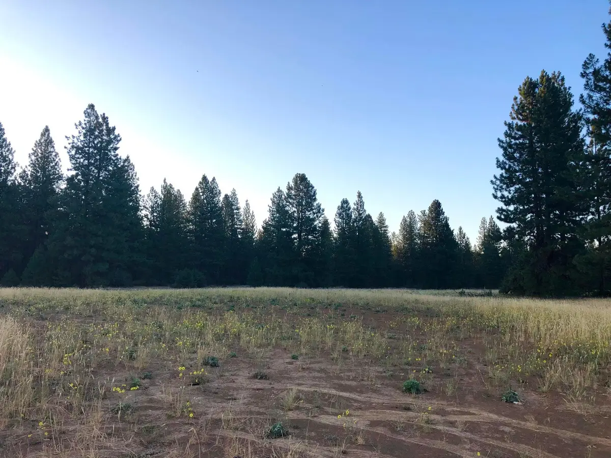 Black Ranch Road, Burney, CA 96013 - #1