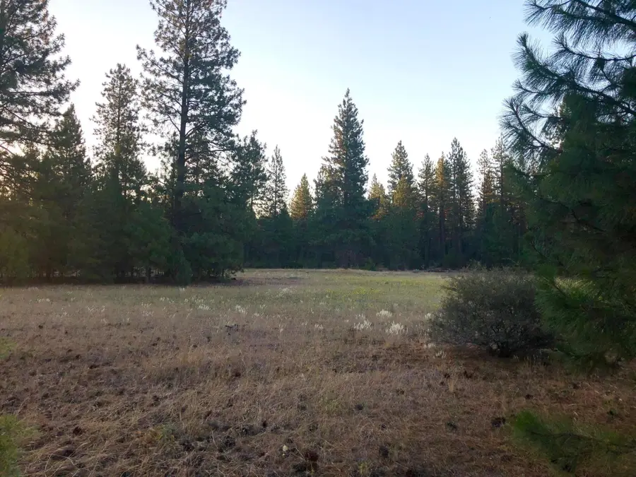 Black Ranch Road, Burney, CA 96013 - #3