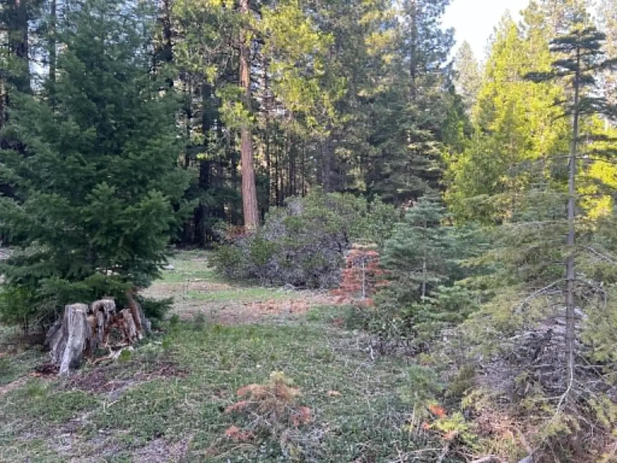 0000 Ca-44, Shingletown, CA 96088 - #1