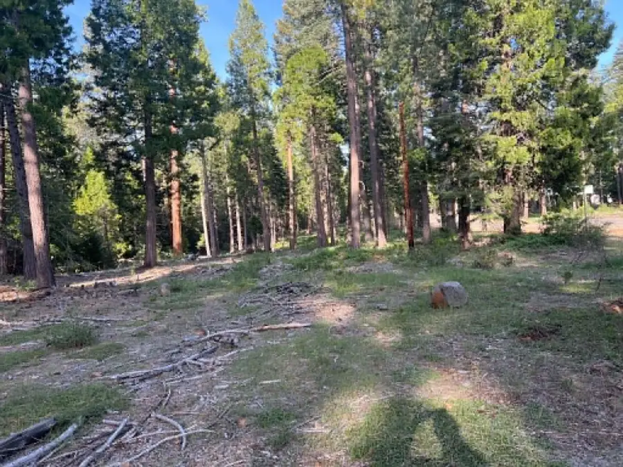 0000 Ca-44, Shingletown, CA 96088 - #2