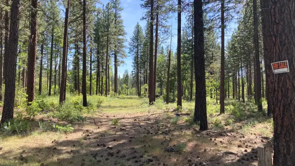 Lot 24 Big Lake Road, McArthur, CA 96056