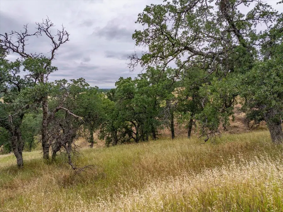 Paynes Creek Road, Red Bluff, CA 96080 - #3