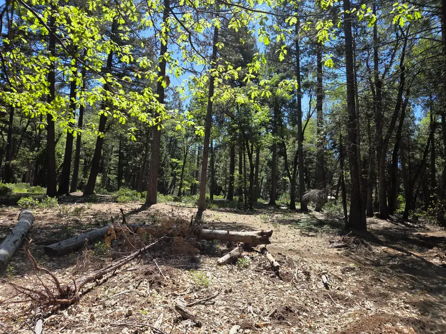 Lot 4 Ritts Mill Road, Shingletown, CA 96088 - #2