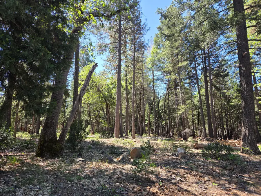 Lot 4 Ritts Mill Road, Shingletown, CA 96088 - #3