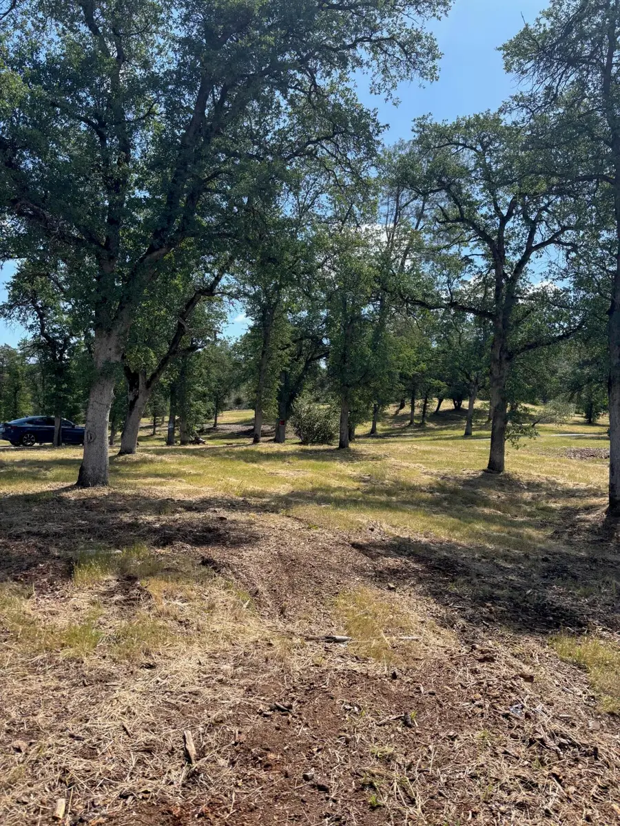 16177 Lower Springs Road, Redding, CA 96001 - #3