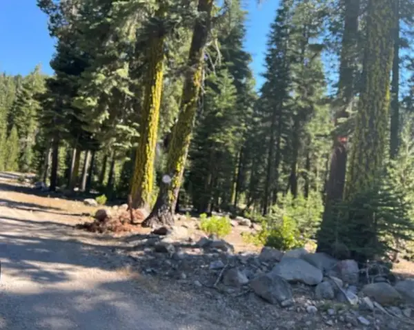 0000 Logging Rd, Viola, CA 96088