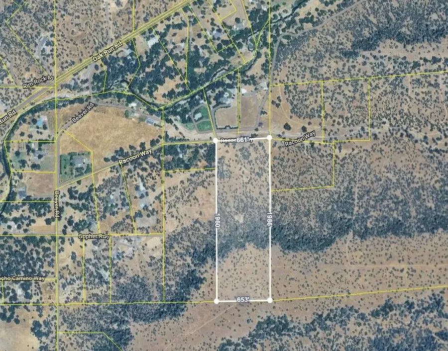 0000 Racoon Way, Oak Run, CA 96069 - #2
