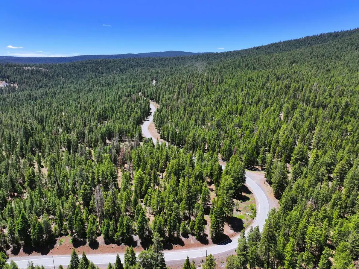 7783 California Pines Boulevard, Alturas, CA 96101 - #1