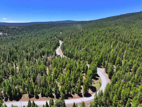 7783 California Pines Boulevard, Alturas, CA 96101